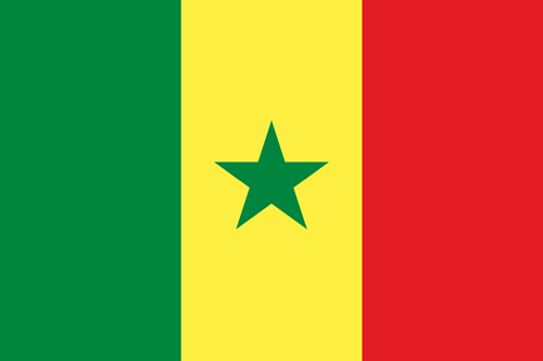 senegal flag small